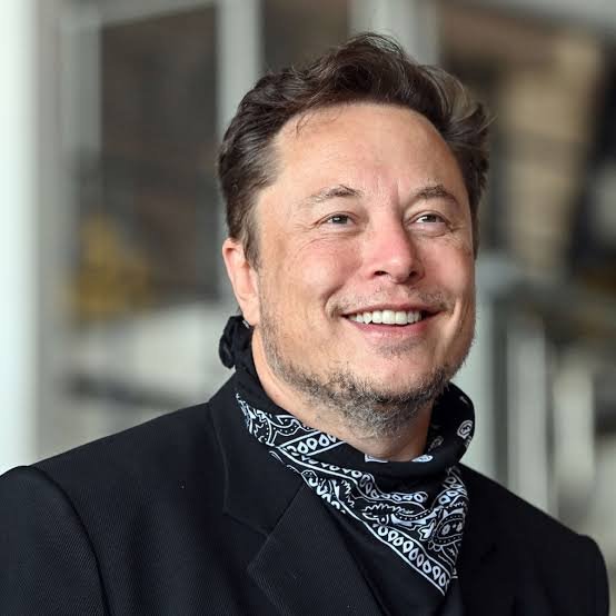 elon musk vermögen