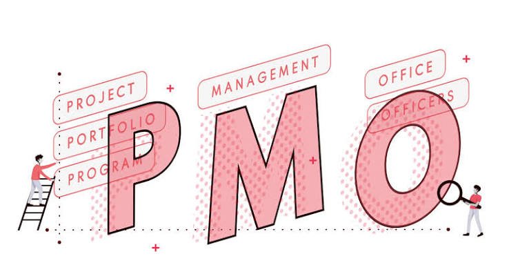 What Does PMO Mean in Text